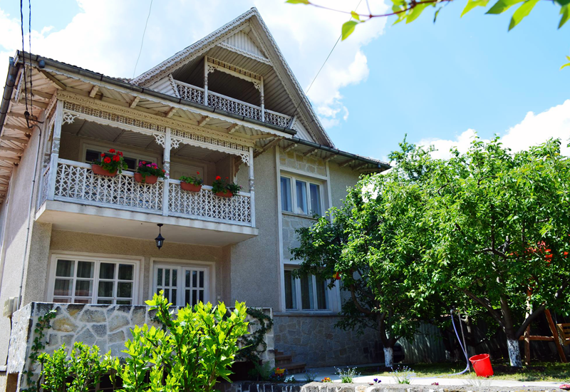 Prezentare Vila Trotus